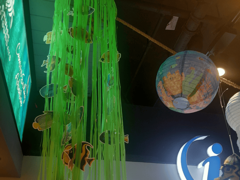 Window to the Reef Winners Announced!
