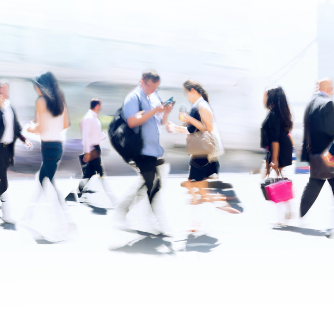 NOVEMBER Whitsundays Workforce Exchange
